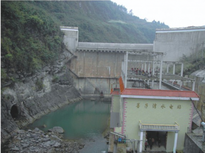 貴沿河縣墨子灣電站大壩、廠房、機(jī)組安裝交鑰匙工程